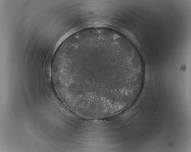 X0000112881226200909181840