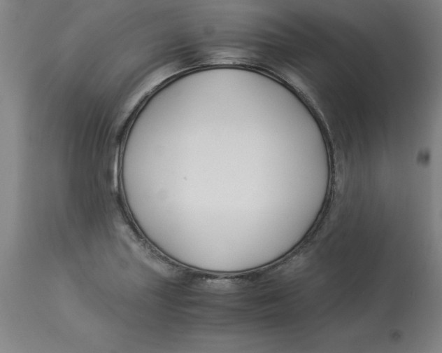 X0000112881227200909181840