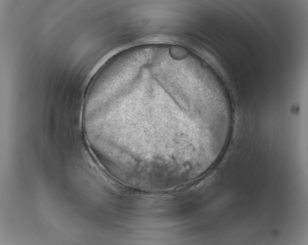 X0000112881228200909181840