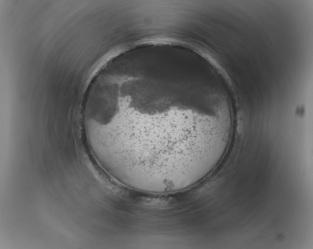 X0000112881229200909181840