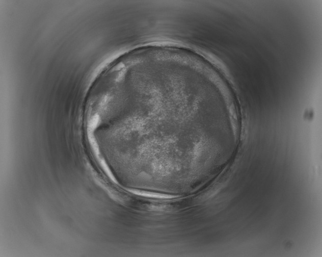 X0000112881231200909181840