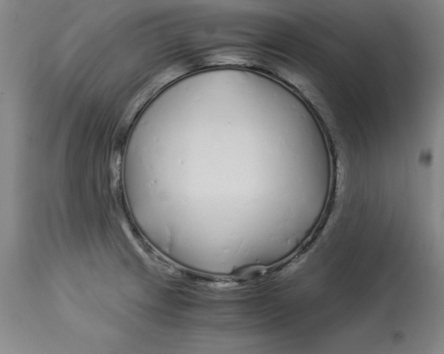 X0000112881233200909181840