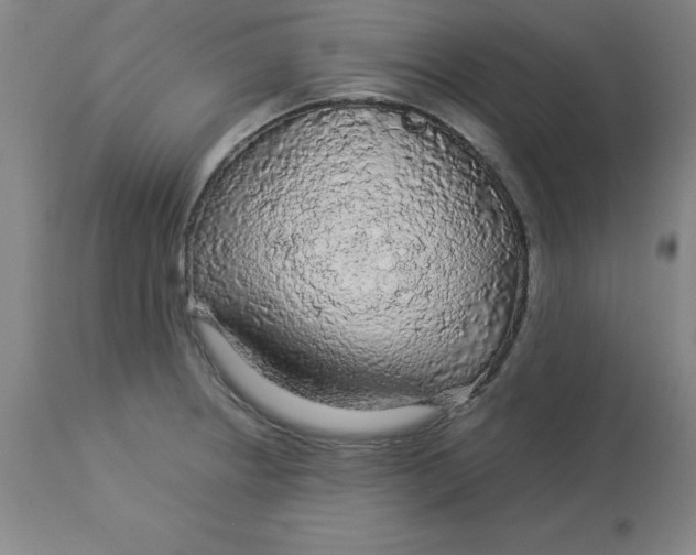 X0000112881234200909181840