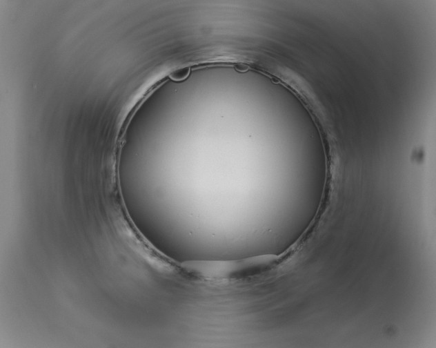 X0000112881236200909181840