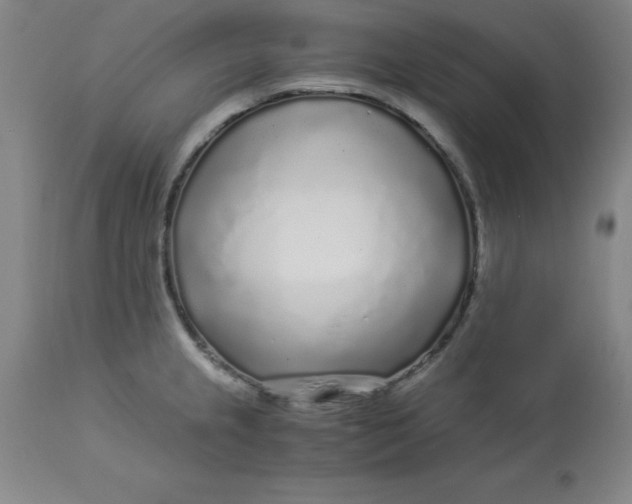 X0000112881237200909181840