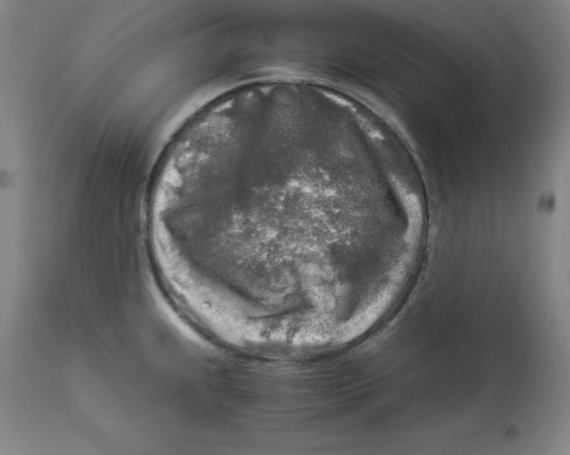 X0000112881239200909181841