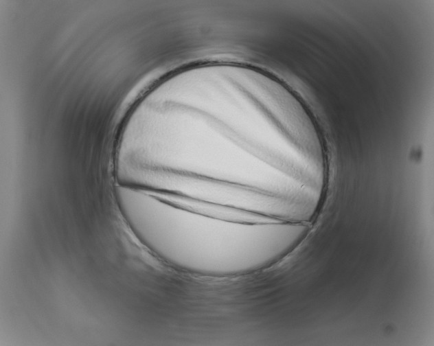 X0000112881240200909181841