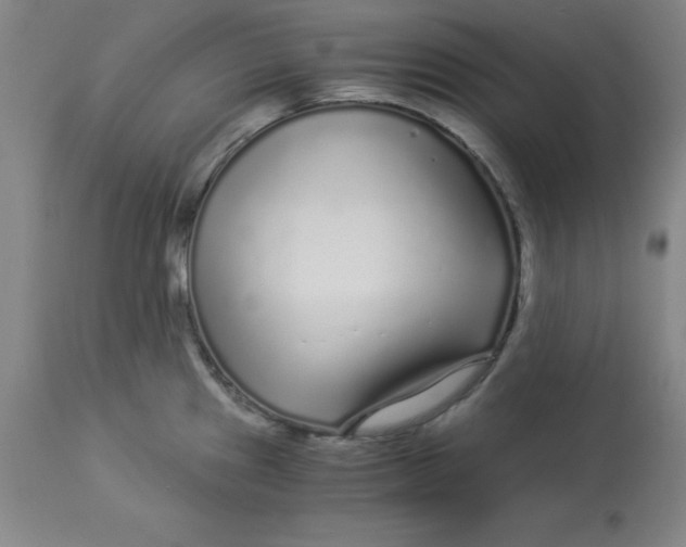 X0000112881241200909181841