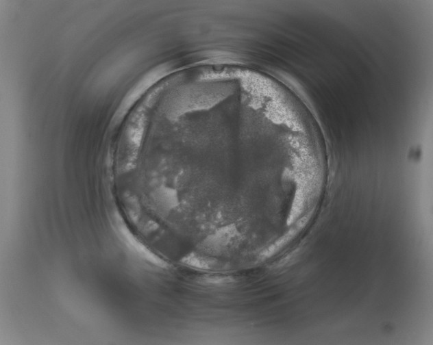 X0000112881243200909181841