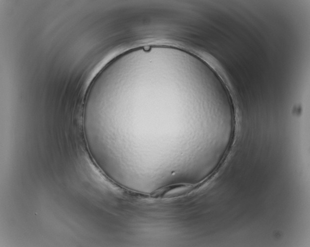 X0000112881244200909181841