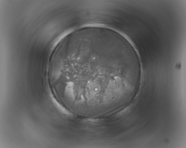 X0000112881245200909181841