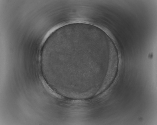 X0000112881246200909181841