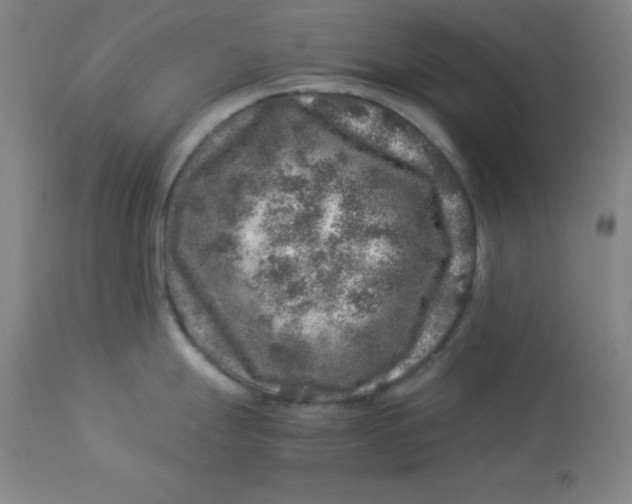 X0000112881247200909181841