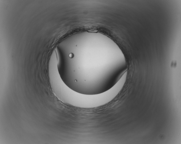 X0000112881249200909181840