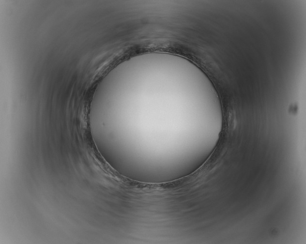 X0000112881250200909181840