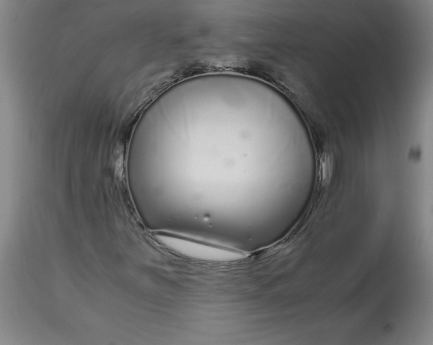 X0000112881251200909181840