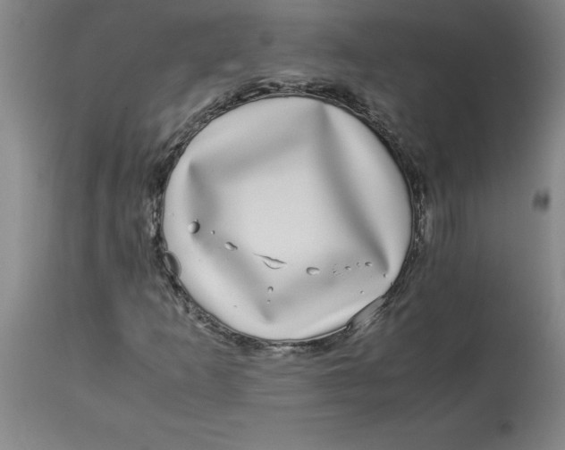 X0000112881253200909181840