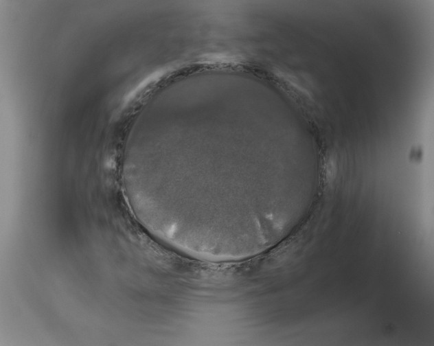 X0000112881254200909181840