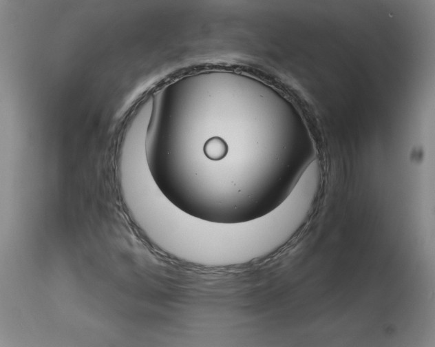 X0000112881256200909181840