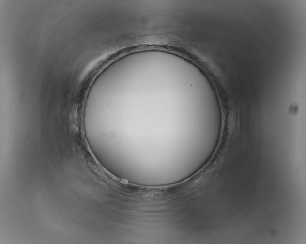 X0000112881262200909181840