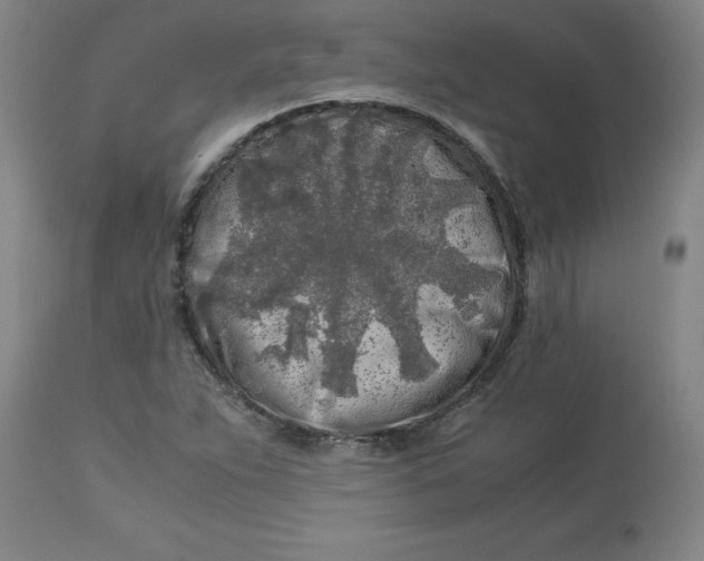 X0000112881263200909181840