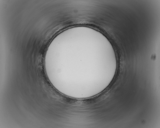 X0000112881265200909181840