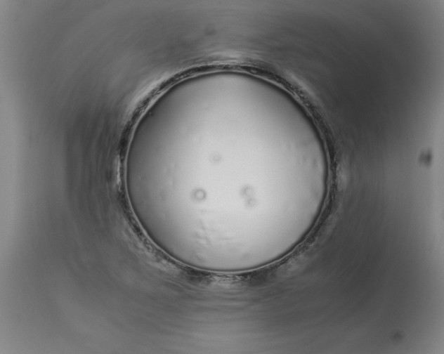 X0000112881267200909181840