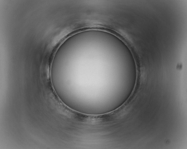 X0000112881269200909181840