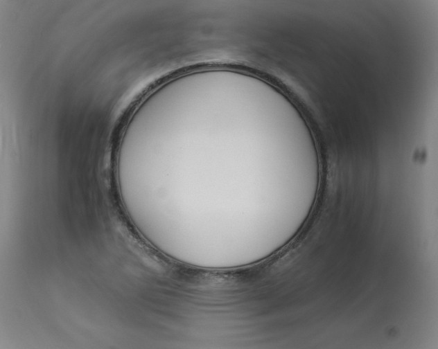 X0000112881270200909181840