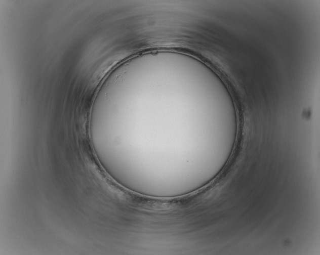 X0000112881273200909181839