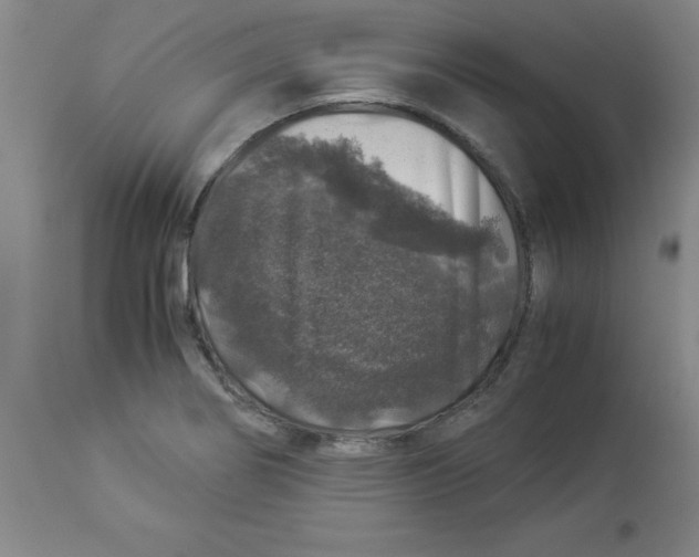 X0000112881274200909181839