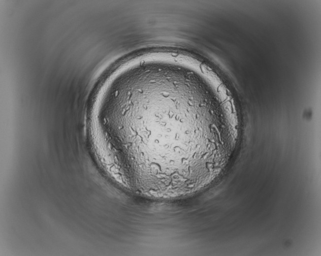 X0000112881275200909181839