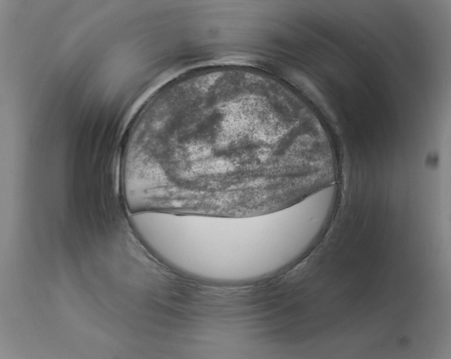 X0000112881276200909181839