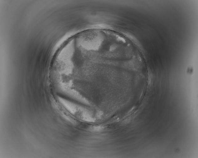 X0000112881278200909181839