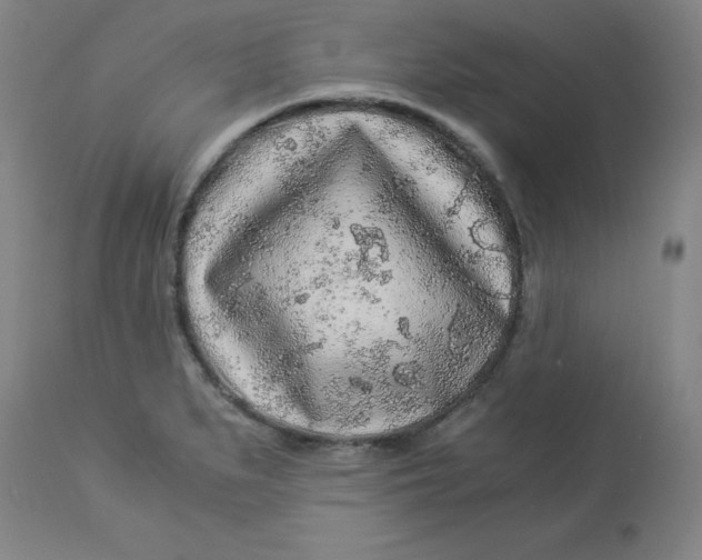 X0000112881279200909181839