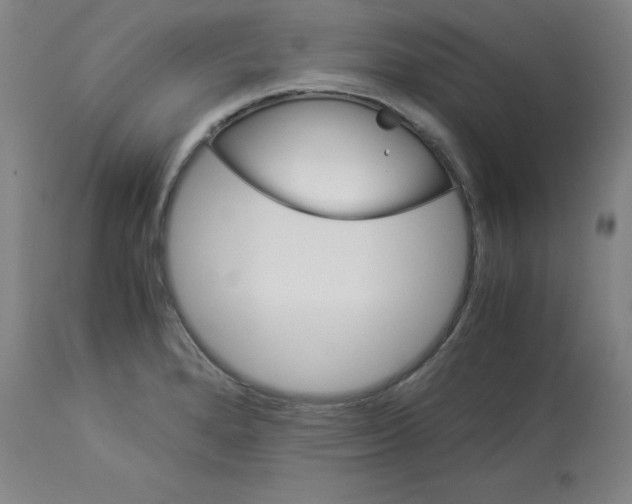 X0000112881280200909181839