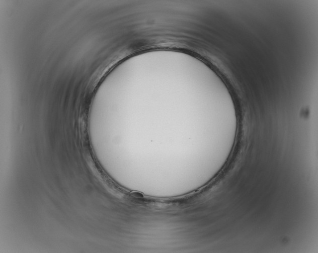 X0000112881281200909181839