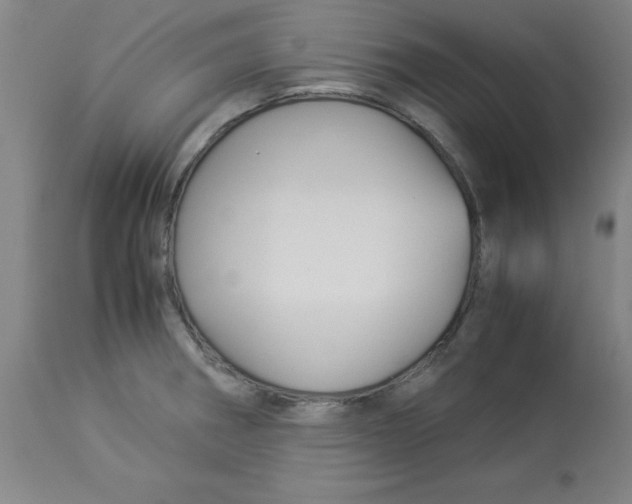 X0000112881282200909181839