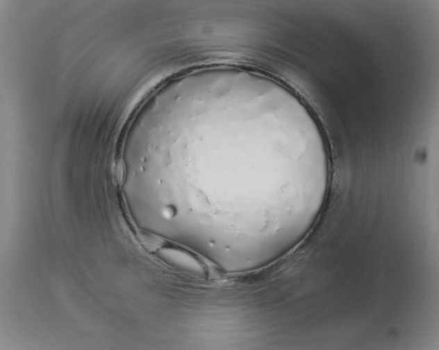 X0000112881283200909181839