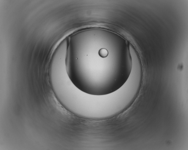 X0000112881284200909181839