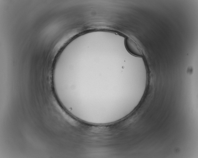 X0000112881285200909181839