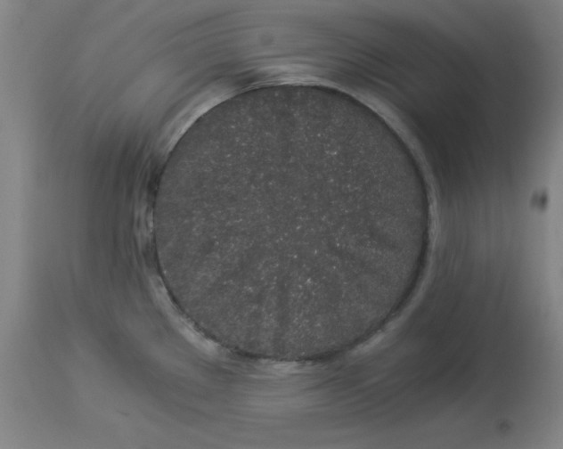 X0000112881289200909181839