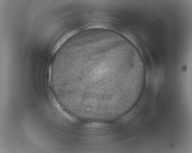 X0000112881290200909181839