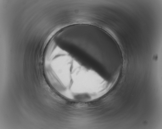 X0000112881291200909181839