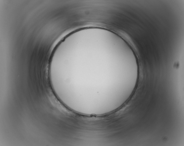 X0000112881292200909181839