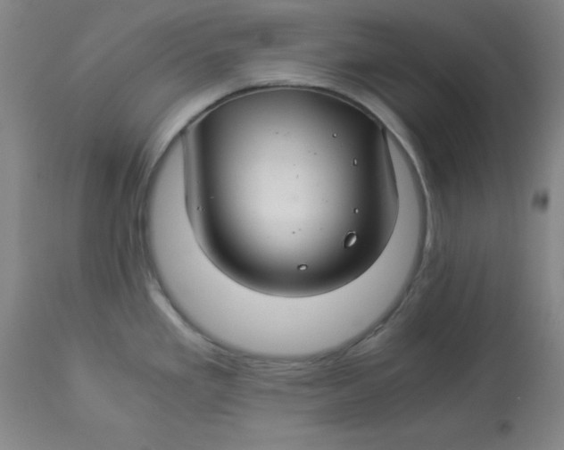 X0000112881293200909181839