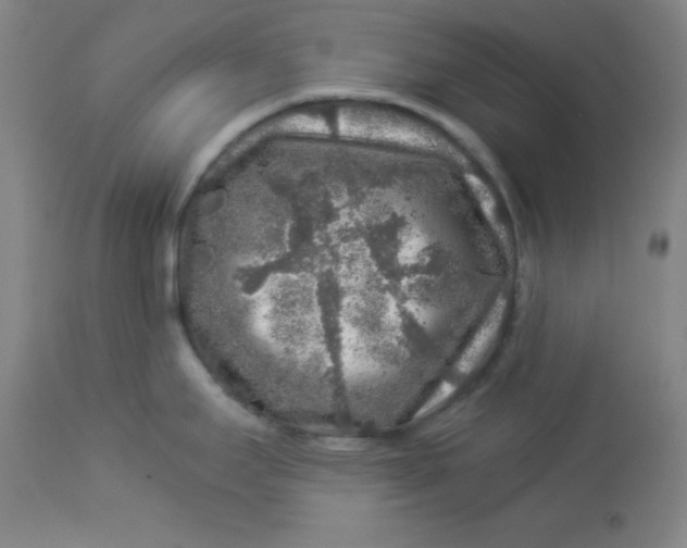 X0000112881295200909181839