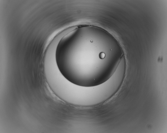 X0000112881296200909181839