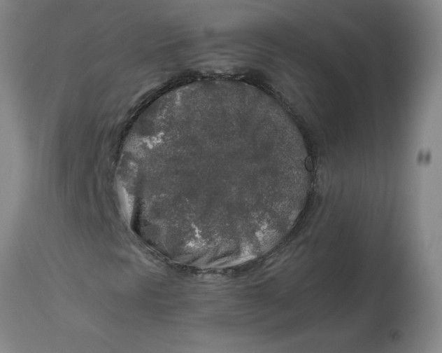 X0000112881297200909181838