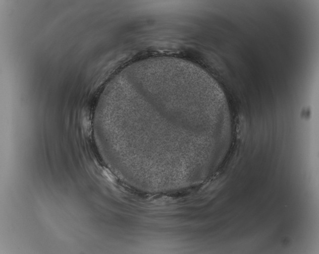 X0000112881298200909181839